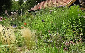 Klein Flora Westerwolde - Het Tuinpad Op / In Nachbars Garten