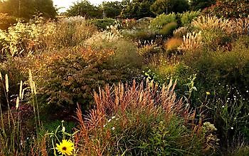 Gärtnerei Jacobs - Het Tuinpad Op / In Nachbars Garten