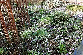 Christa Welling - Het Tuinpad Op / In Nachbars Garten