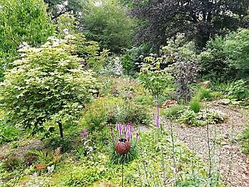 Hortus mille Plantarum (Tuin van Duizend Planten) - Het Tuinpad Op / In Nachbars Garten