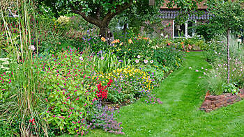 BlommenTuin - Het Tuinpad Op / In Nachbars Garten