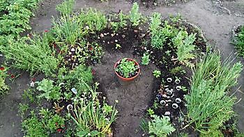 Tuin Meyer - Het Tuinpad Op / In Nachbars Garten