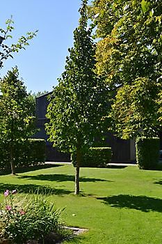Natuurtuin en rivierkreeftkwekerij - Het Tuinpad Op / In Nachbars Garten
