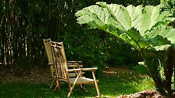 Mei Chu - Het Tuinpad Op / In Nachbars Garten