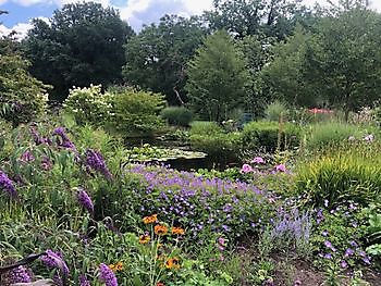 Imke’s tuin - Het Tuinpad Op / In Nachbars Garten
