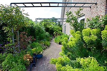 Imke’s tuin - Het Tuinpad Op / In Nachbars Garten