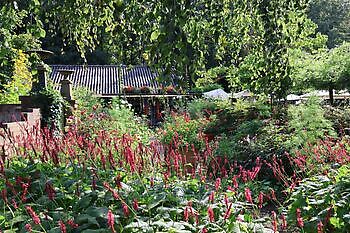 De Luie Tuinman - Het Tuinpad Op / In Nachbars Garten