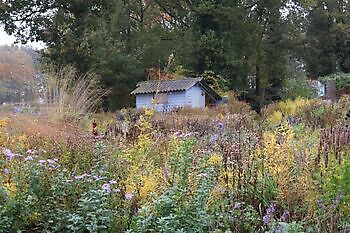 De Luie Tuinman - Het Tuinpad Op / In Nachbars Garten