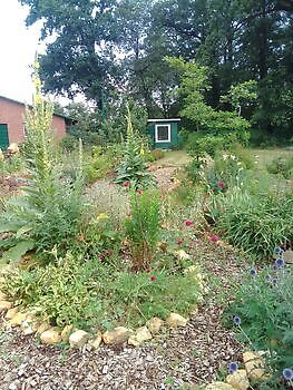 Hortus mille Plantarum (Tuin van Duizend Planten) - Het Tuinpad Op / In Nachbars Garten